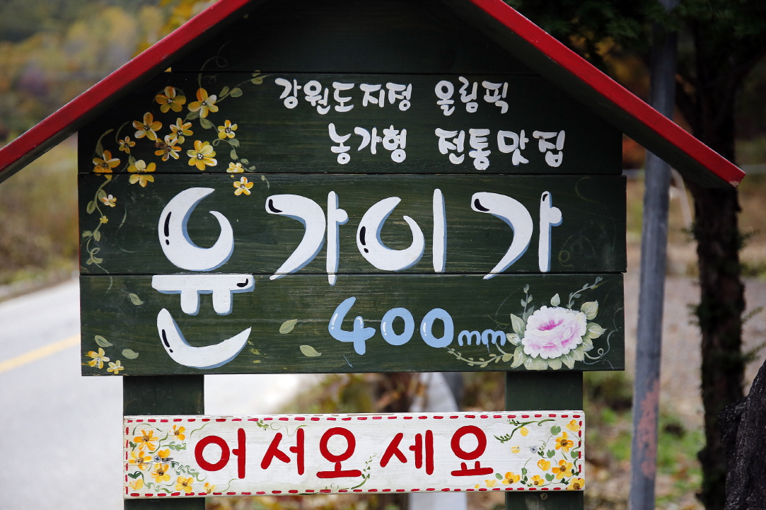 윤가이가 실내 모습