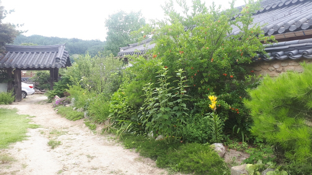 돌담사이로 풍경2