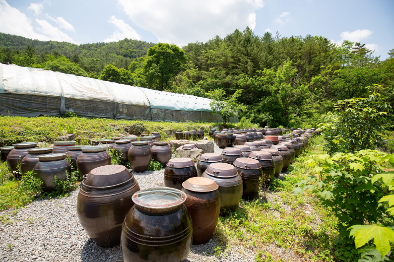 산속의 친구 요리