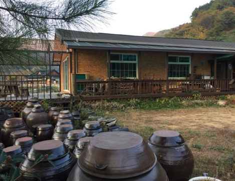 매화랑 매실이랑