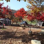 박석 캠핑장