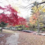 유명산밸리캠핑장