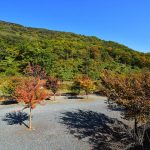청도 그린나래 오토캠핑장