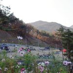 송하루 오토캠핑장
