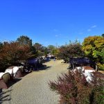 경주초우오토캠핑장