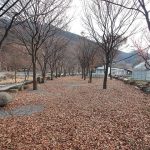 엘림펜션 오토캠핑장