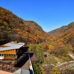 금산산림문화타운