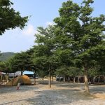 자연애캠핑장