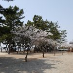 나라펜션캠핑장