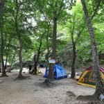 계림정야영장