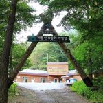 계룡산동학사자동차야영장