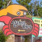신안우전설레미캠핑장
