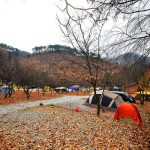 달숲 캠핑장