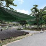 석문 오토캠핑장