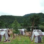 포레스트12