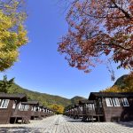 산장관광지