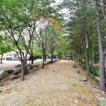 계곡풍경캠핑장