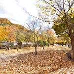 개울가오토캠핑장