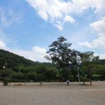 강당골캠핑파크