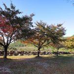 위정캠핑장
